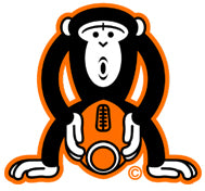 Monkey image orange plain